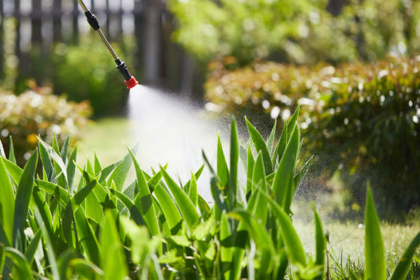 Tamper-Resistant Bait Stations for Rodents in Gas City