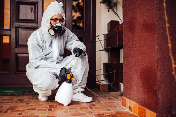 Attic and Crawl Space Rodent Treatment in Gas City