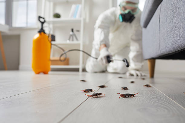 Commercial Rodent Management in Gas City